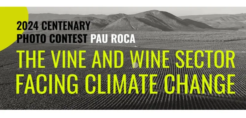 Per il centenario Oiv lancia un concorso fotografico sul cambiamento climatico
