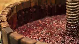 Le istruzioni Agea per le dichiarazioni di giacenza 2019/2020