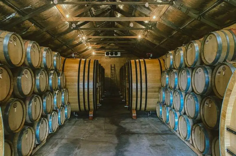 Australia: per la prima volta all&rsquo;asta con Nft un&rsquo;intera annata monovitigno