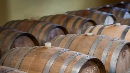 Cantina Italia, le scorte si attestano a 56 milioni di ettolitri di vino