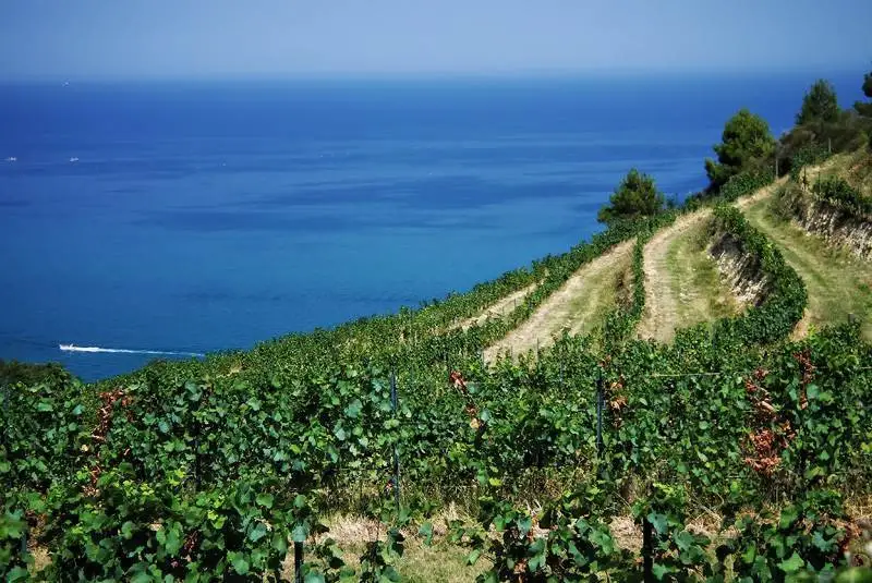 Sardegna da scoprire con la via del Cannonau