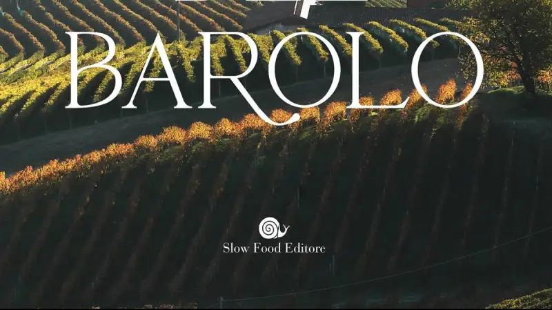 In libreria un viaggio tra storia e cantine del Barolo