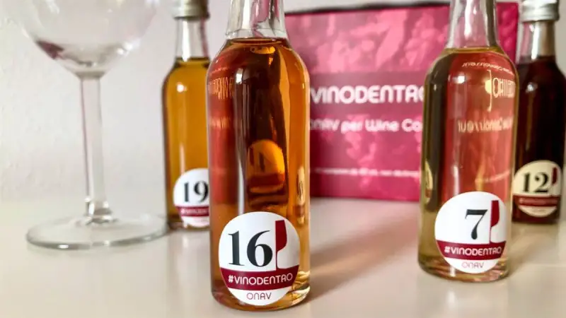 Imparare il vino divertendosi