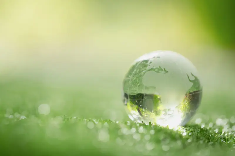 Nuova disciplina &ldquo;greenwashing&rdquo; e disposizioni sulla gestione delle scorte 