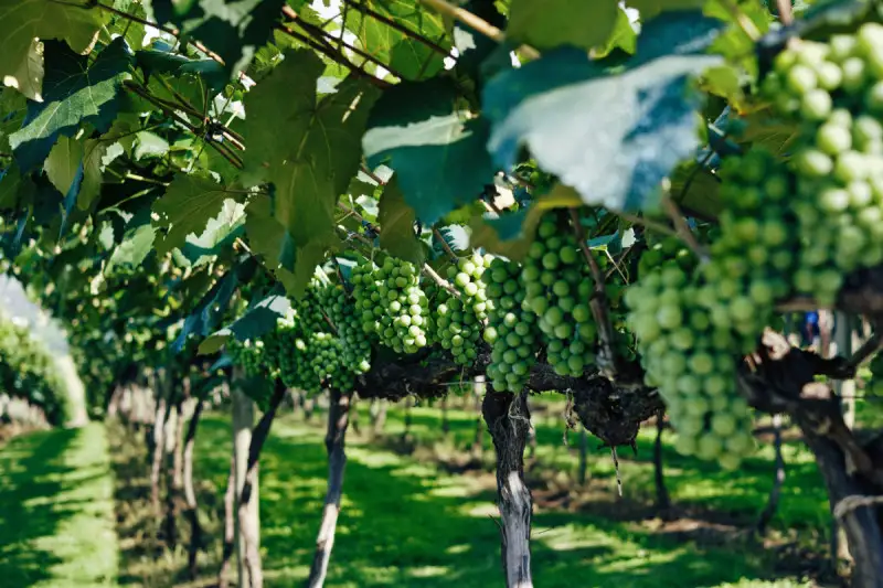 Investimenti