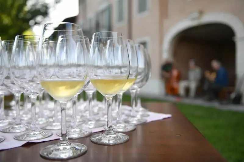 Doc Collio: si potranno abbassare del 20% le rese della vendemmia 2020