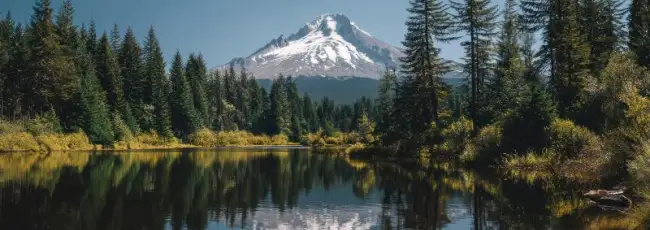 Packaging e riciclo: confermata la legittimit&agrave; della legge EPR dell&rsquo;Oregon