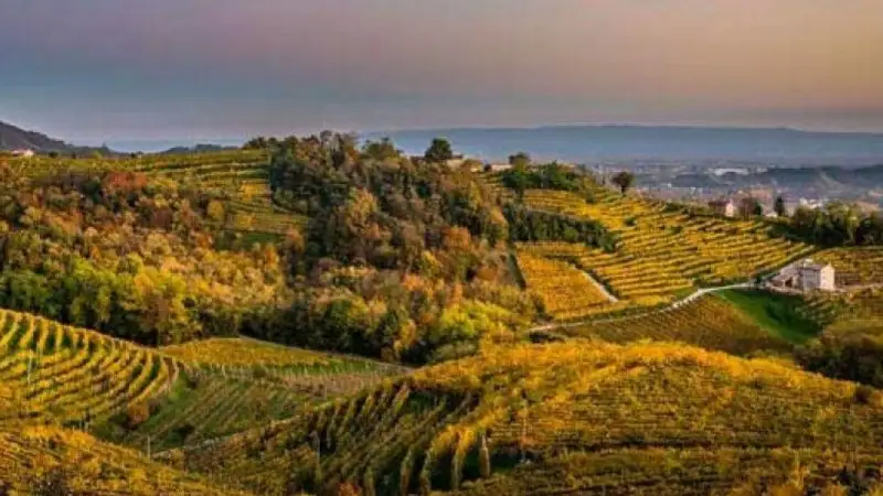 Asolo Prosecco da record, +13% nel 2023