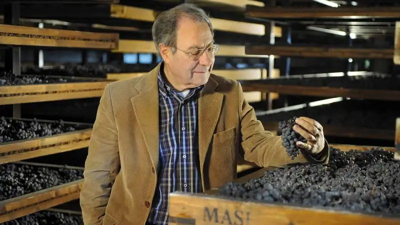 Boscaini: &ldquo;Una visione strategica per il vino italiano che superi denominazioni e territori"