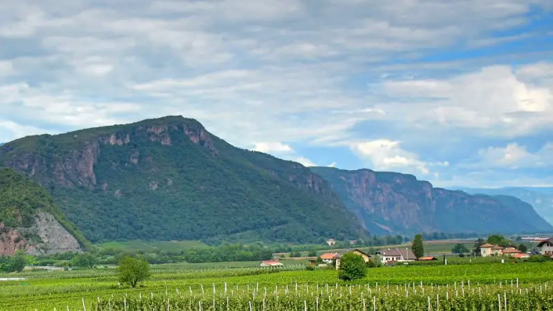 Approvate le modifiche ordinarie al disciplinare di produzione dei vini a Igt Mitterbeg