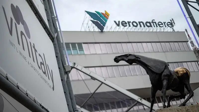 Vino, primavera di ripartenza in Usa (+26%) e Cina (+98%)