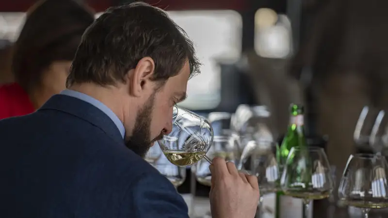 Il Vermentino, vitigno di tendenza della Toscana