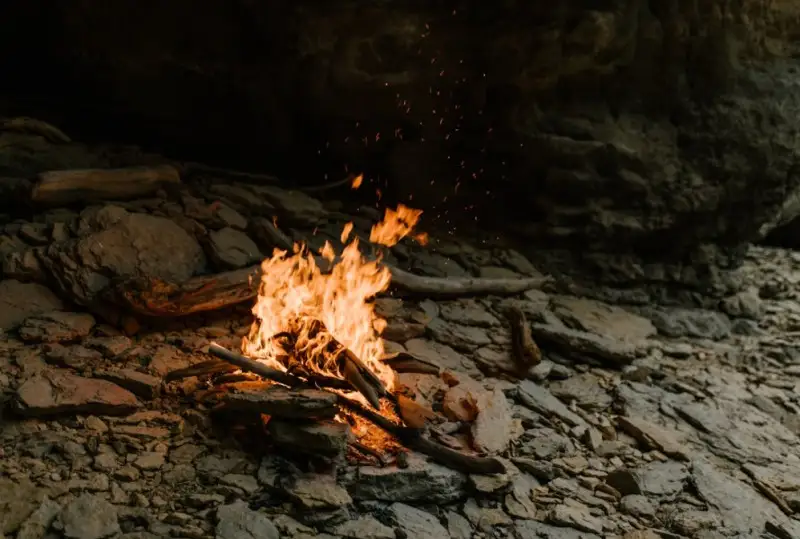 Gelate tardive colpiscono le regioni vinicole europee