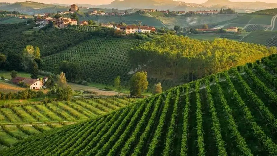 Un bicchiere di speranza. Debutta domani il film &ldquo;Artedivino&rdquo; sull&rsquo;economia, i territori, l&rsquo;arte e la cultura del vino in Italia
