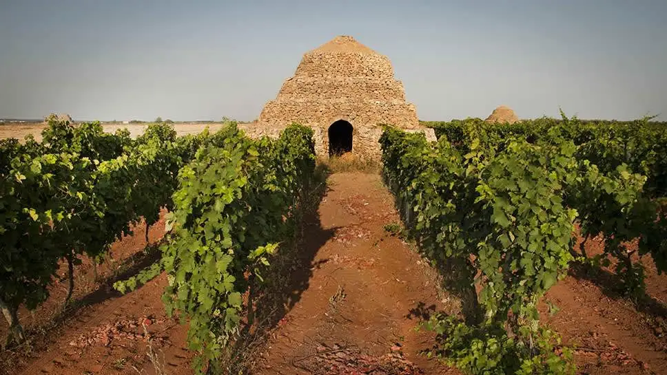Tra le Torri del Primitivo di Manduria, percorsi esclusivi e degustazioni Doc