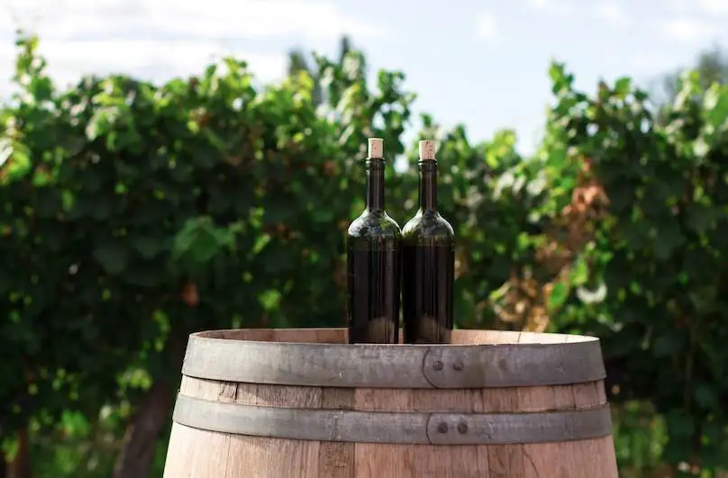 Cantine e vigne: l'identikit dell'enoturista e le "ricette" post-Covid