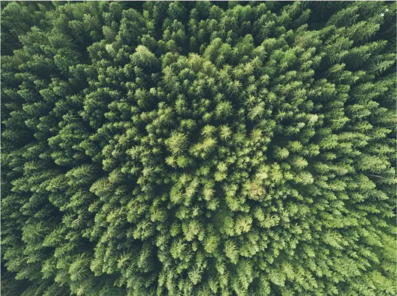 Ecco il &ldquo;greenhushing&rdquo;, ovvero perch&eacute; le politiche ambientali delle aziende restano nell&rsquo;ombra