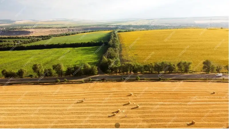 Procedura legislativa d&rsquo;urgenza per le semplificazioni alla Pac: via libera entro aprile