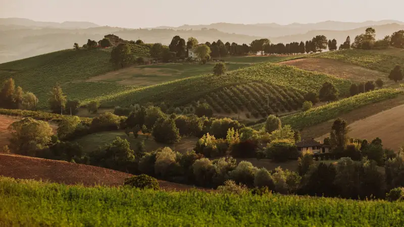 Il Masaf incarica l'Adm per i controlli Igp