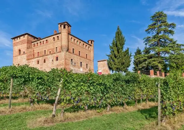 Un'asta di Barolo en primeur della vigna di Camillo Benso di Cavour