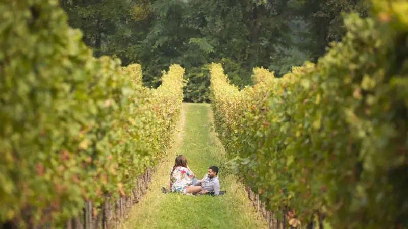 Dolce Autunno fra i vigneti della provincia di Brescia
