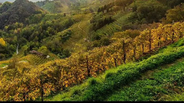 Un tour tra le grandi denominazioni del vino toscane
