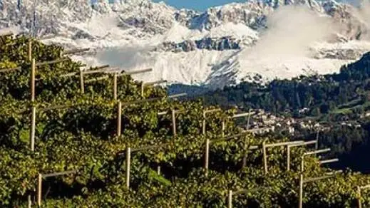 Food & Wine Tourism Forum: le sfide del turismo enogastronomico al tempo del Covid