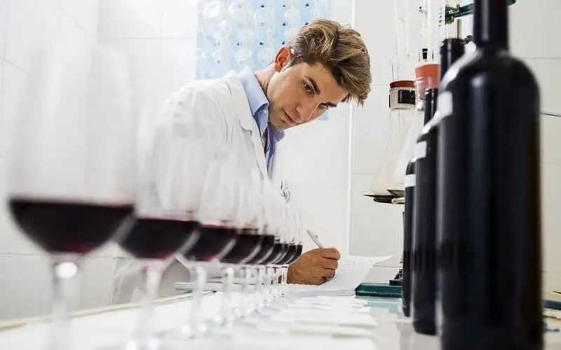 Enologi ed enotecnici: le novit&agrave; del Ddl che disegna figure professionali per le sfide future