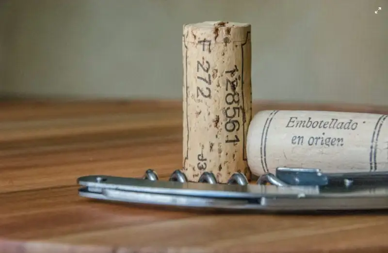 Negli Usa arriva il sommelier virtuale che usa l&rsquo;intelligenza artificiale