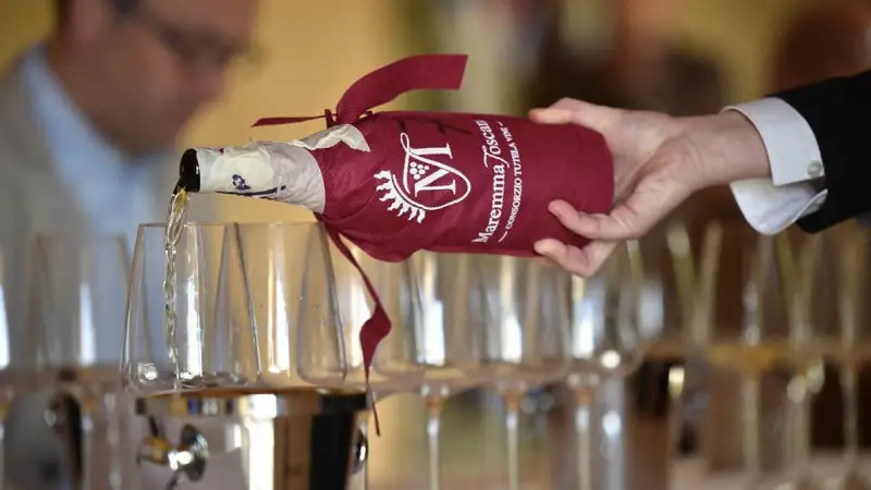 Il Vermentino traina la Doc Maremma Toscana