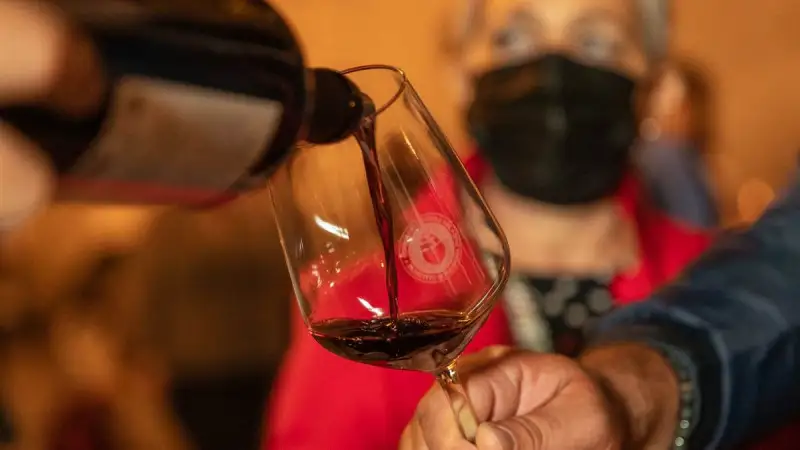 Primitivo di Manduria: nel 2021 più crescita (+7,2%) e lotta ai marchi ingannevoli