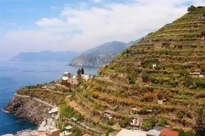 Bellanova firma il decreto sui vigneti storici ed eroici