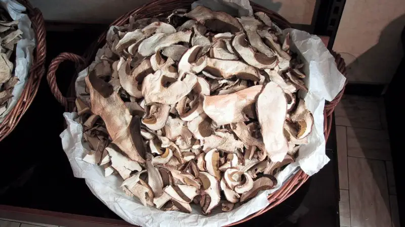 Alta Valtaro nel segno del sottobosco