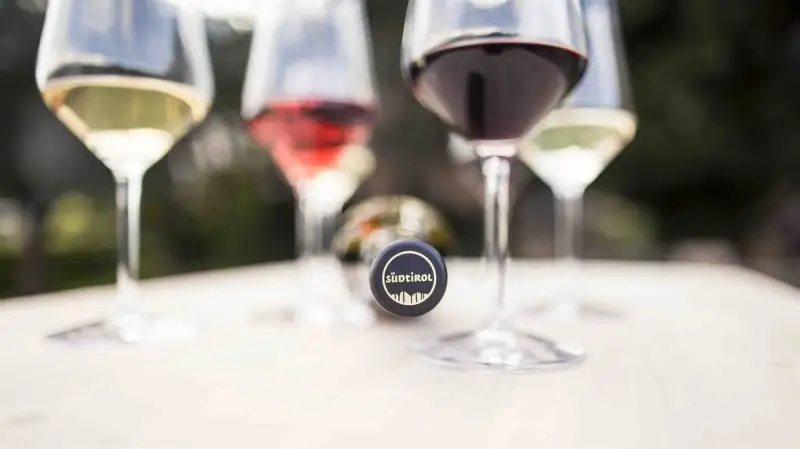 Itinerario tra i vigneti pluripremiati dell&rsquo;Alto Adige