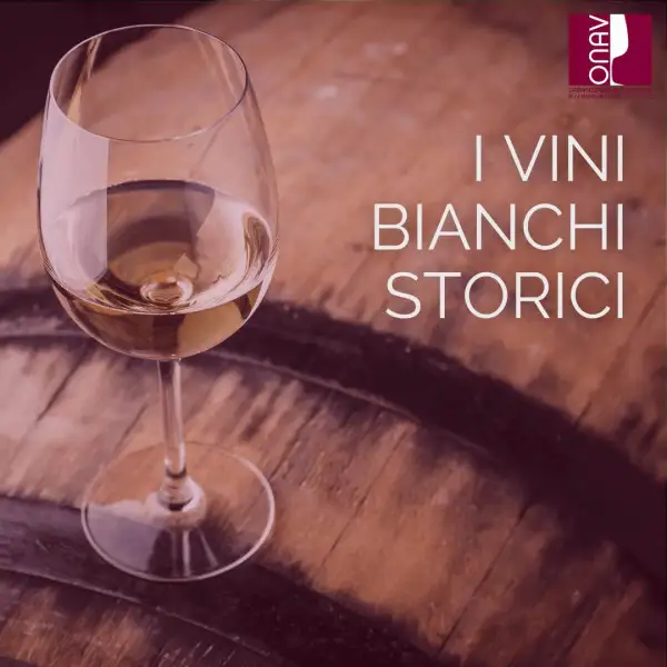 Onav, tour virtuale dei grandi bianchi italiani