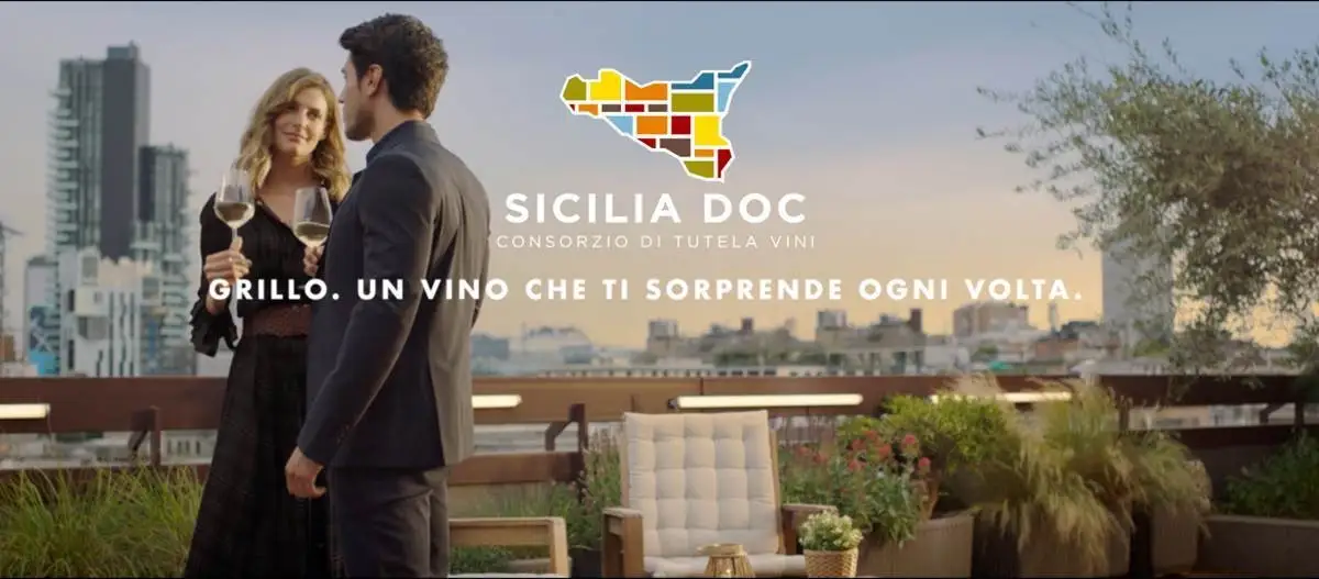 Vendemmia 2019: deliberata la riduzione della resa del Grillo