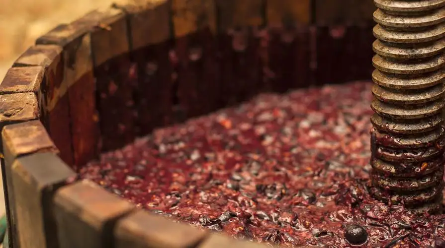 Dichiarazioni di giacenza vini e mosti al 31 luglio 2018