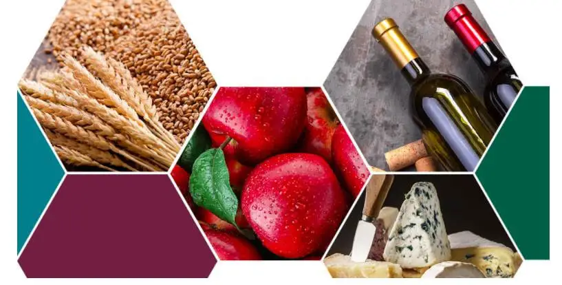 Ismea: le prospettive del mercato del vino negli scenari post Covid