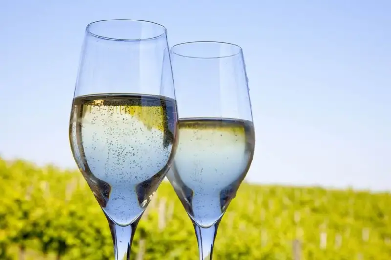 Consorzio Prosecco Doc brinda alla crescita sui mercati