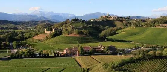 Un tuffo nel cuore del Collio