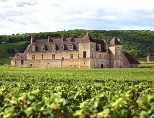 Bordeaux, dagli incendi non solo rischi ai vigneti: gravi danni all&rsquo;enoturismo 