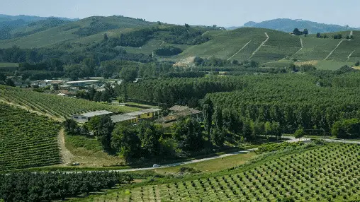 Al via il deposito cauzionale degli imballaggi in Ungheria