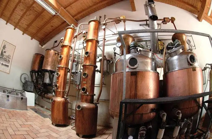 Santa Massenza, culla della grappa artigianale