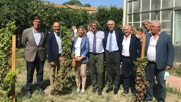 La Sicilia del vino rende omaggio a Diego Planeta: la &ldquo;Vigna del Gallo&rdquo; porter&agrave; il suo nome