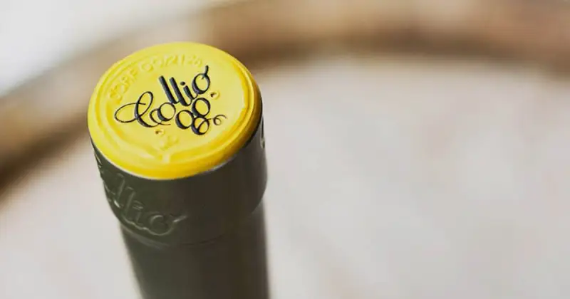 Al via la XVI edizione del Premio Collio dedicato a &ldquo;Sigismondo Douglas Attems di Petzenstein&rdquo;