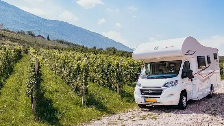 Vendemmia camper friendly nelle aziende delle Donne del Vino
