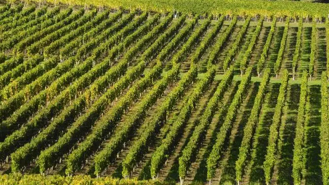 Stallo nei negoziati commerciali tra Ue e Australia