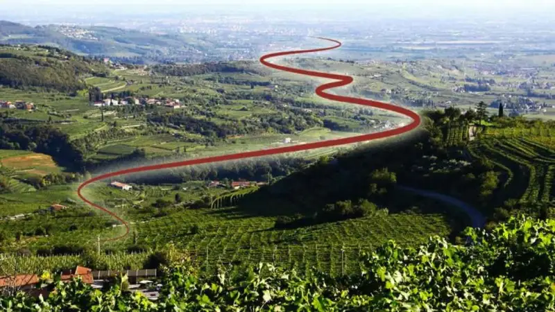 Cammino del Bardolino, 100 km tra vigneti e natura