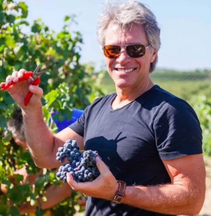 Il miglior ros&eacute; del mondo? Wine Spectator non ha dubbi: &egrave; quello di Bon Jovi