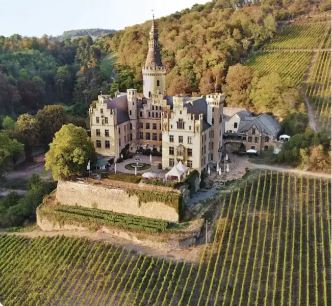 Airbnb punta sulla nuova categoria &ldquo;Vineyards&rdquo;, soggiorni nei vigneti